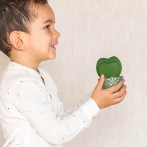 Mini Hoya Kerrii Herz