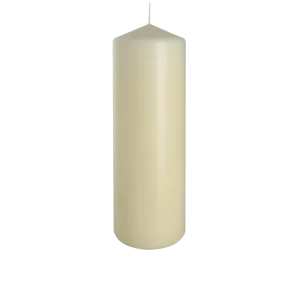 Stumpenkerze 80x250 mm