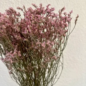 Trockenblumen Limonium violett