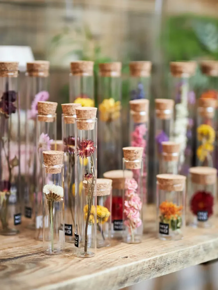 Tube Fleur Sechee 20cm