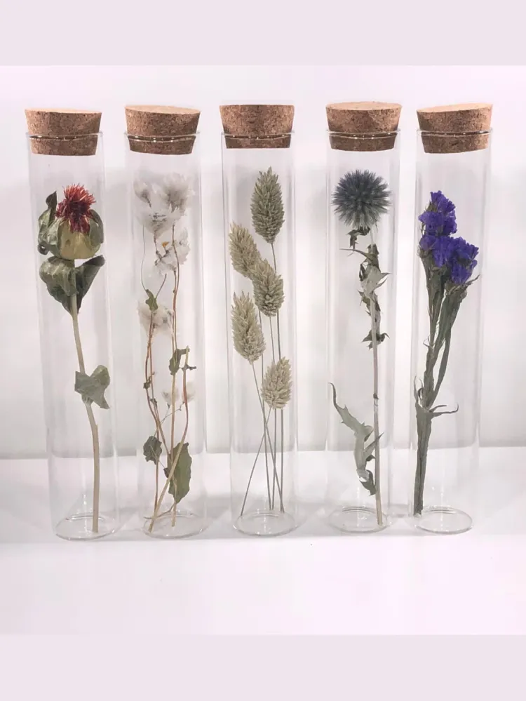 Tube Fleur Sechee 20cm