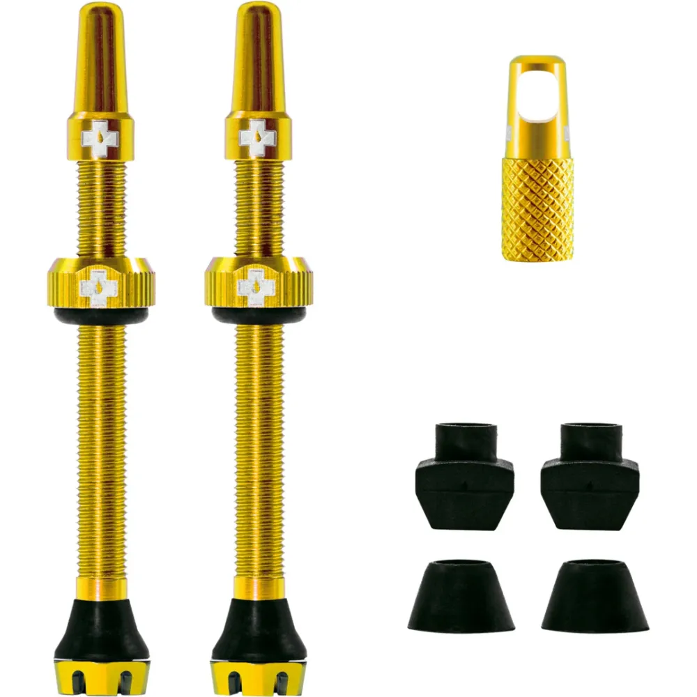 V2 Tubeless Ventil Kit