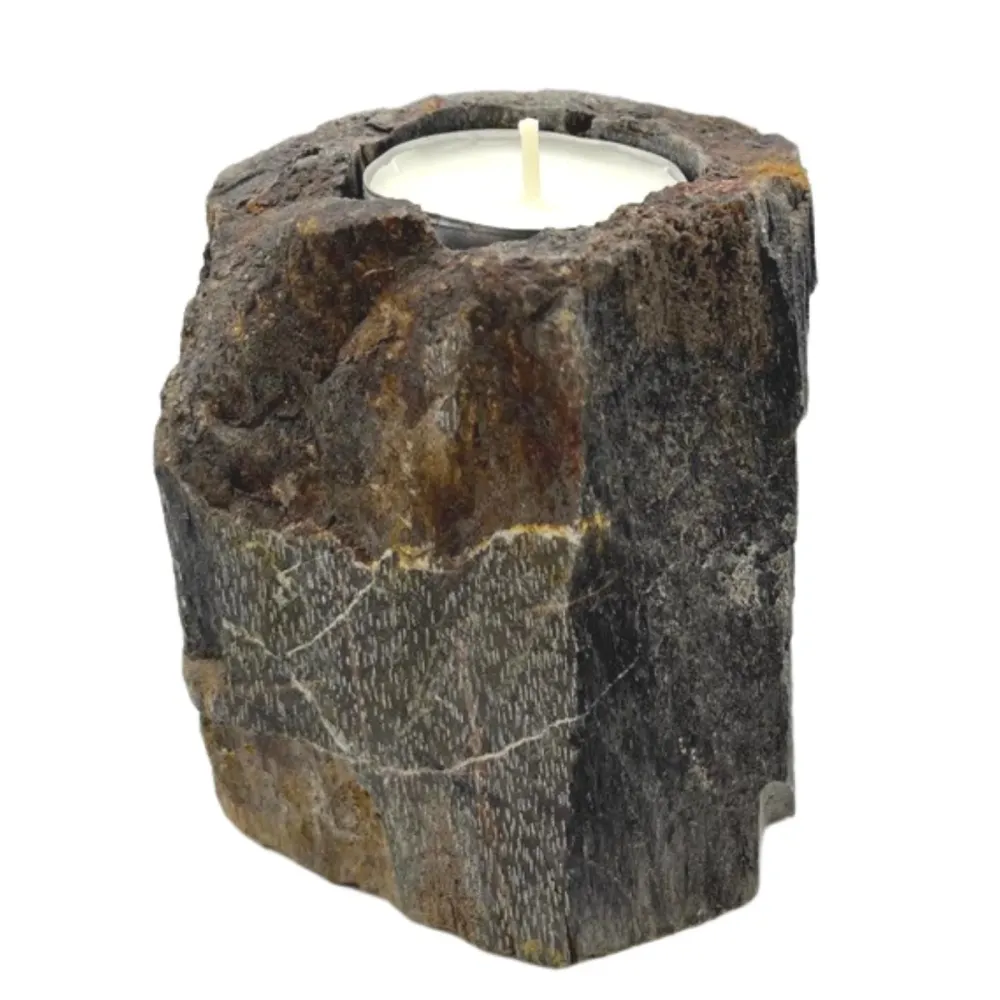 Versteinertes Holz - Kerzenhalter