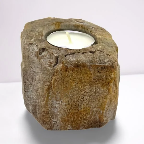 Versteinertes Holz - Kerzenhalter