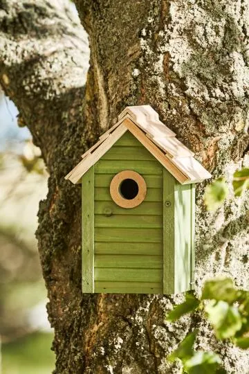 Vogelhaus, grün, naturfarbigem Dach, Holz