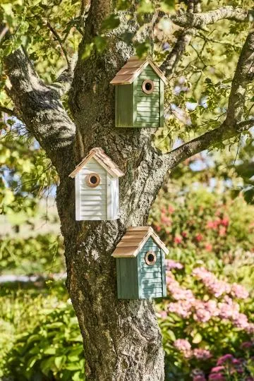 Vogelhaus, grün, naturfarbigem Dach, Holz