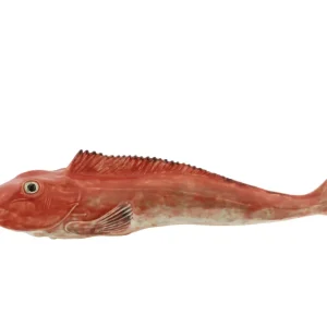 BP Wanddeko Large Tub Gurnard