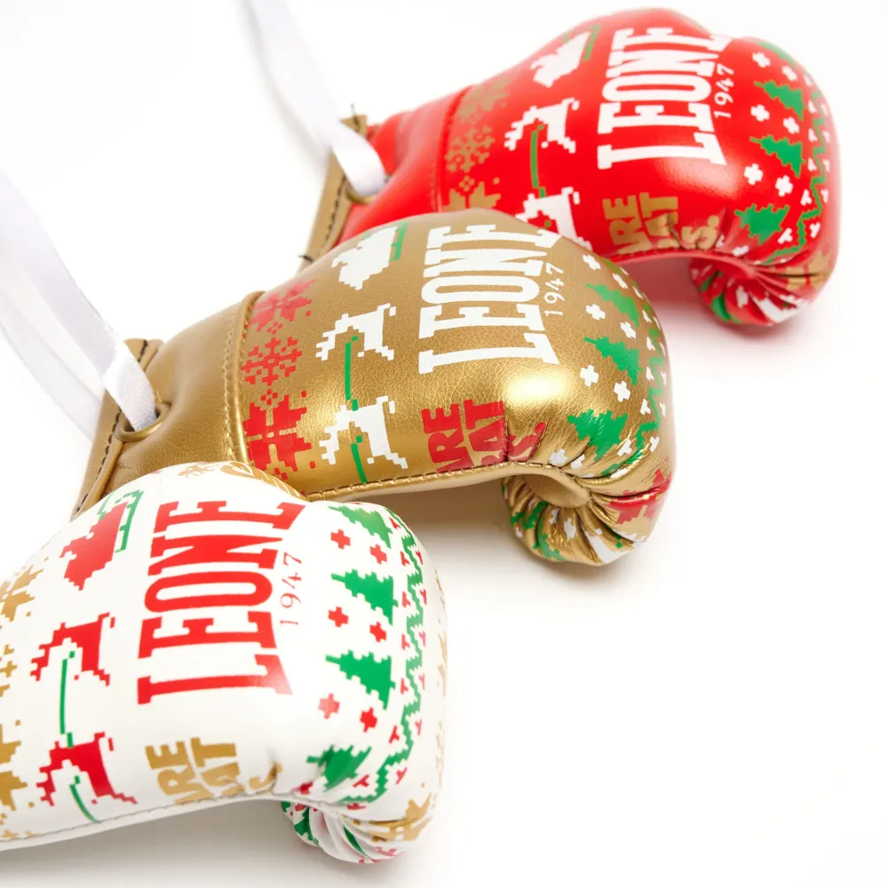 Weihnachts-Handschuhset Leone KIT23X