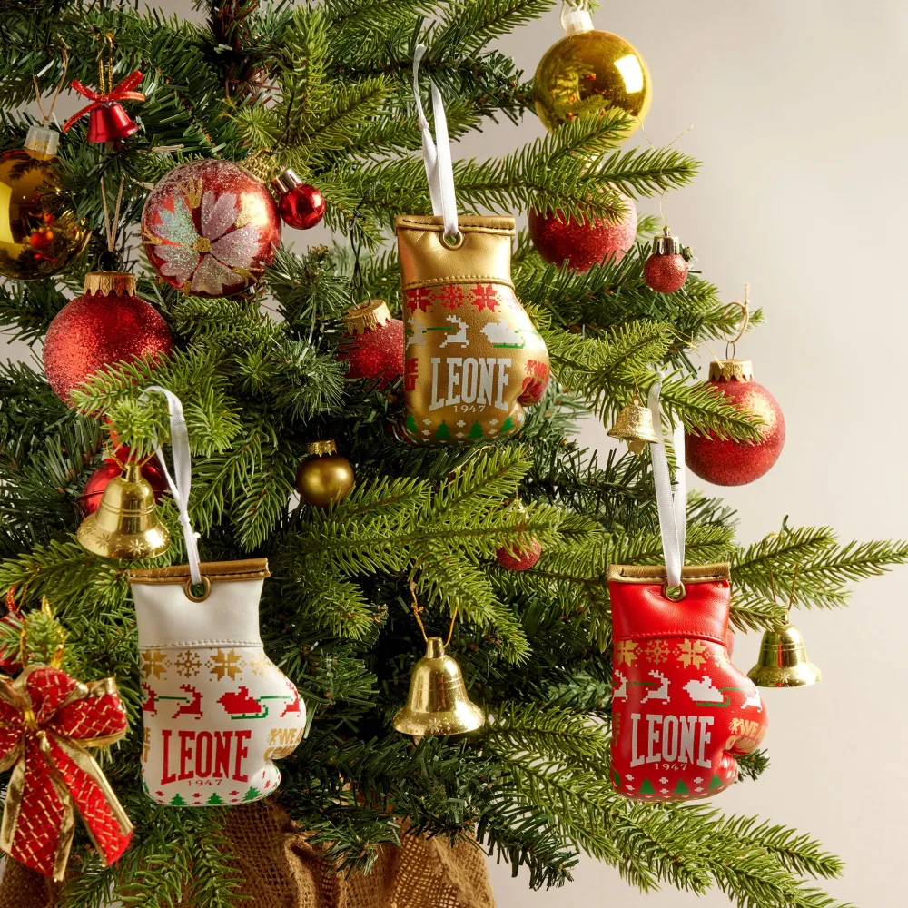 Weihnachts-Handschuhset Leone KIT23X