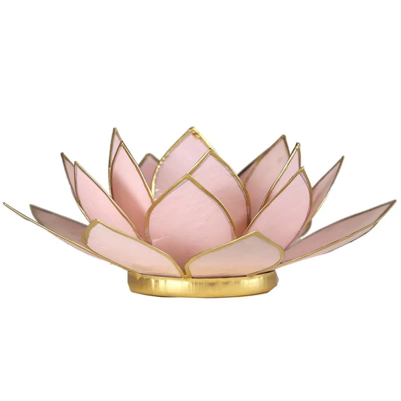 Lotus Teelichthalter aus Capiz-Muschel – rosa mit goldfarbenem Rand