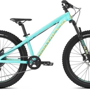 Dartmoor Hornet Junior 24"