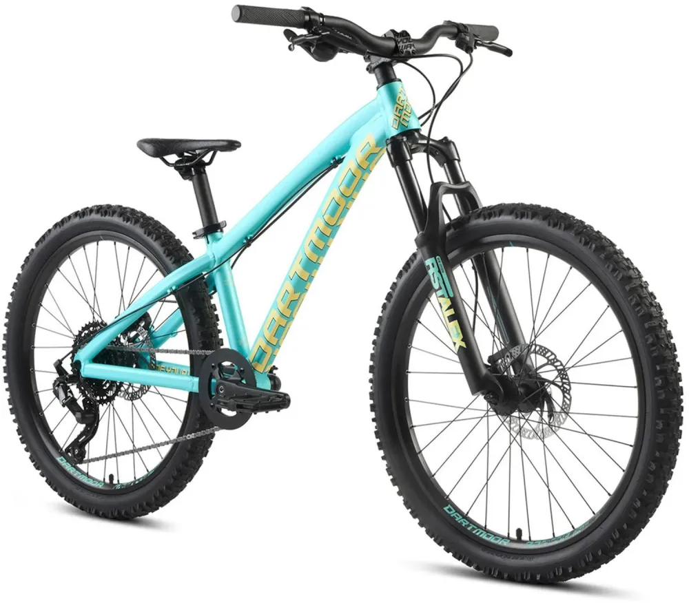 Dartmoor Hornet Junior 24"