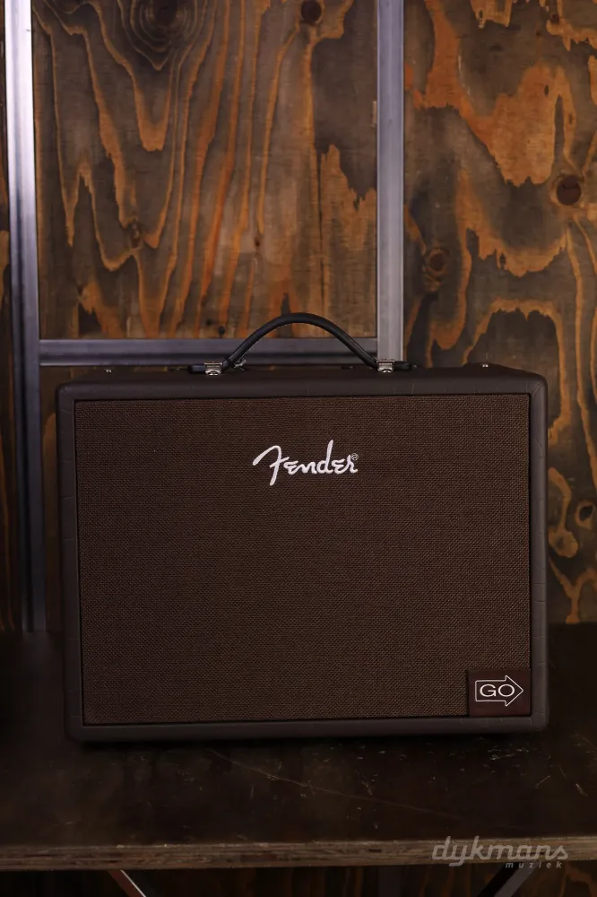 Fender Acoustic Junior GO