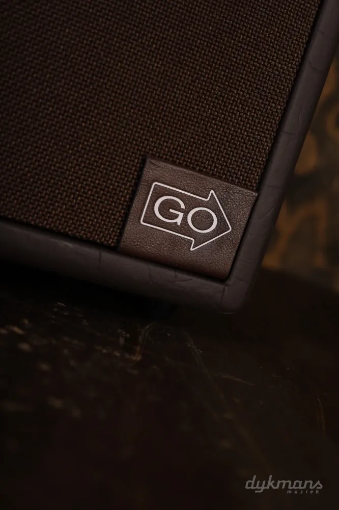 Fender Acoustic Junior GO