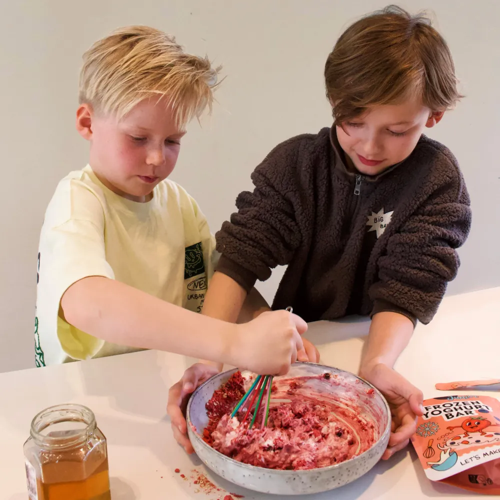 Frozen Joghurt Riegel Mix | Pineut Junior