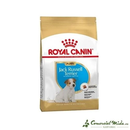 Ich denke ROYAL CANIN JACK RUSSELL TERRIER JUNIOR für Welpen 3Kg