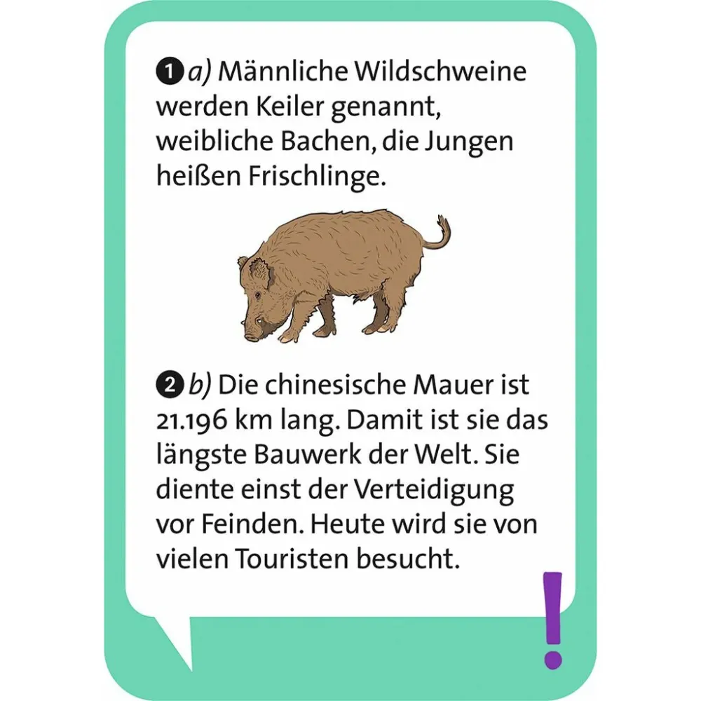 Pocket Quiz junior - Allgemeinwissen