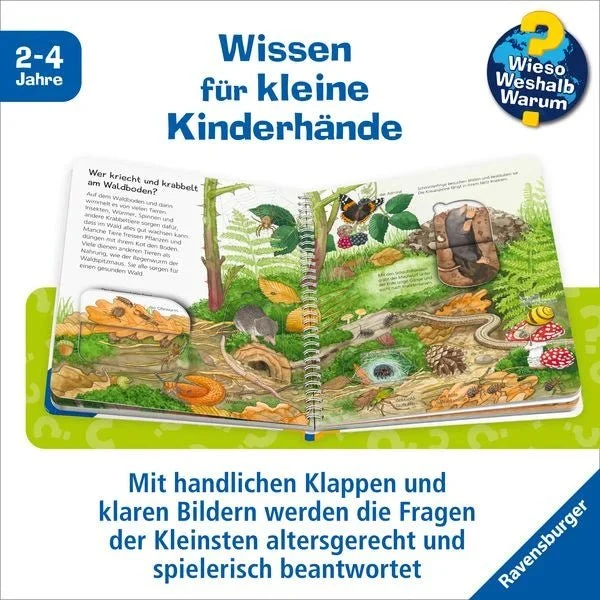 Wieso? Weshalb? Warum? junior, Band 77: Tiere im Wald