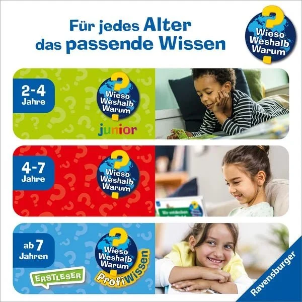 Wieso? Weshalb? Warum? junior, Band 77: Tiere im Wald
