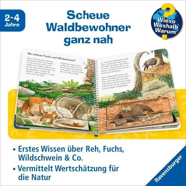 Wieso? Weshalb? Warum? junior, Band 77: Tiere im Wald