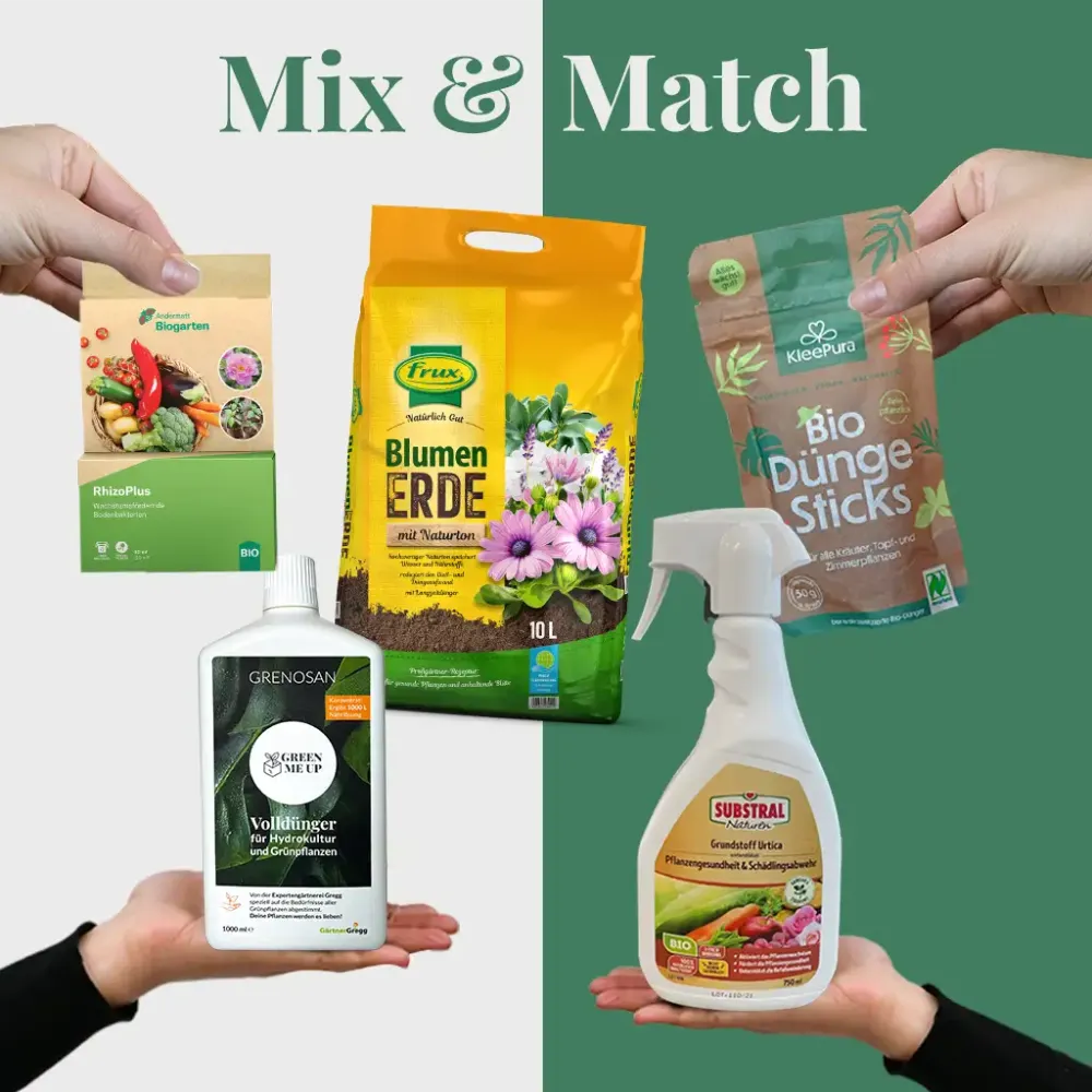 Mix & Match Pflanzen-Pflegeset Frühling