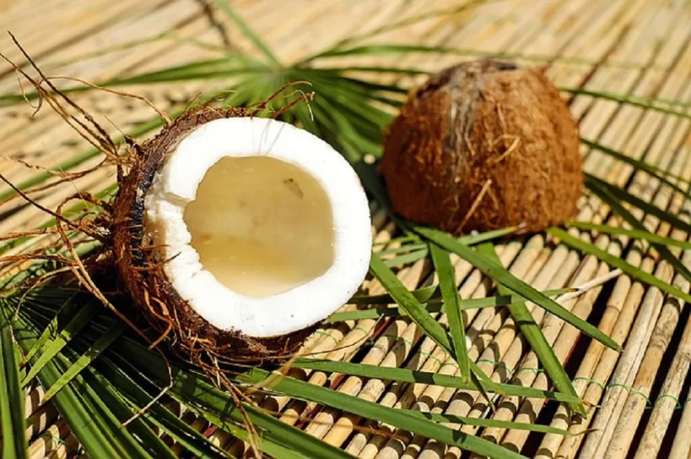 Kokos - 500g Salz Körperpeeling, mit BIO-Meersalz