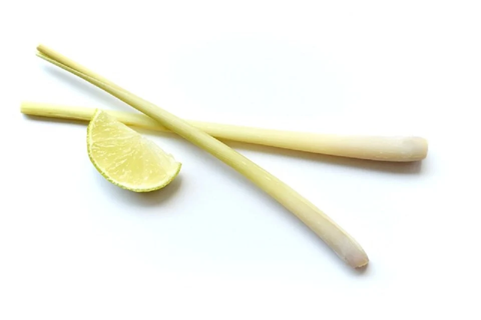 Lemongras - 500g Salz Körperpeeling, mit BIO-Meersalz