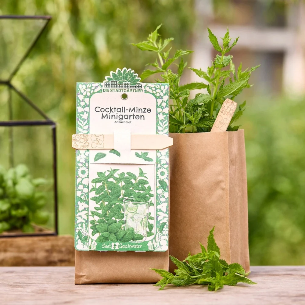 Minigarten »Cocktail Minze« • TDJ Stadtgärtner GmbH