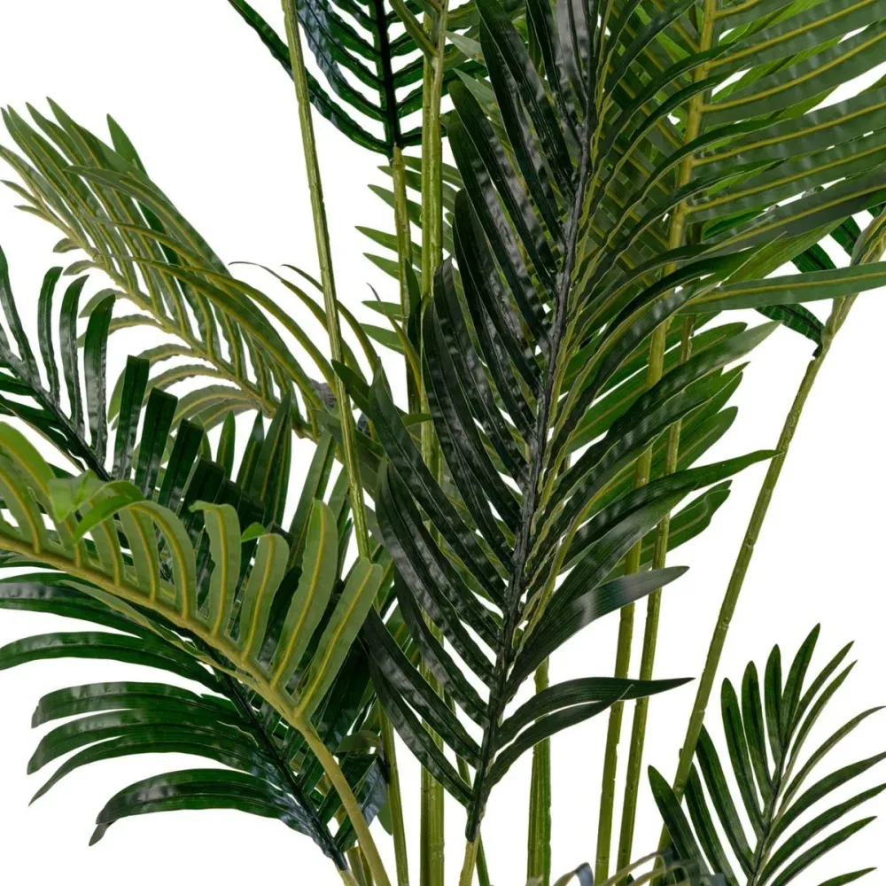 Haus Nordic - Areca-Palme