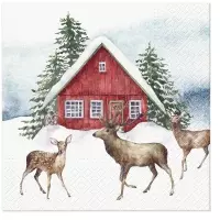 Haus im Schnee