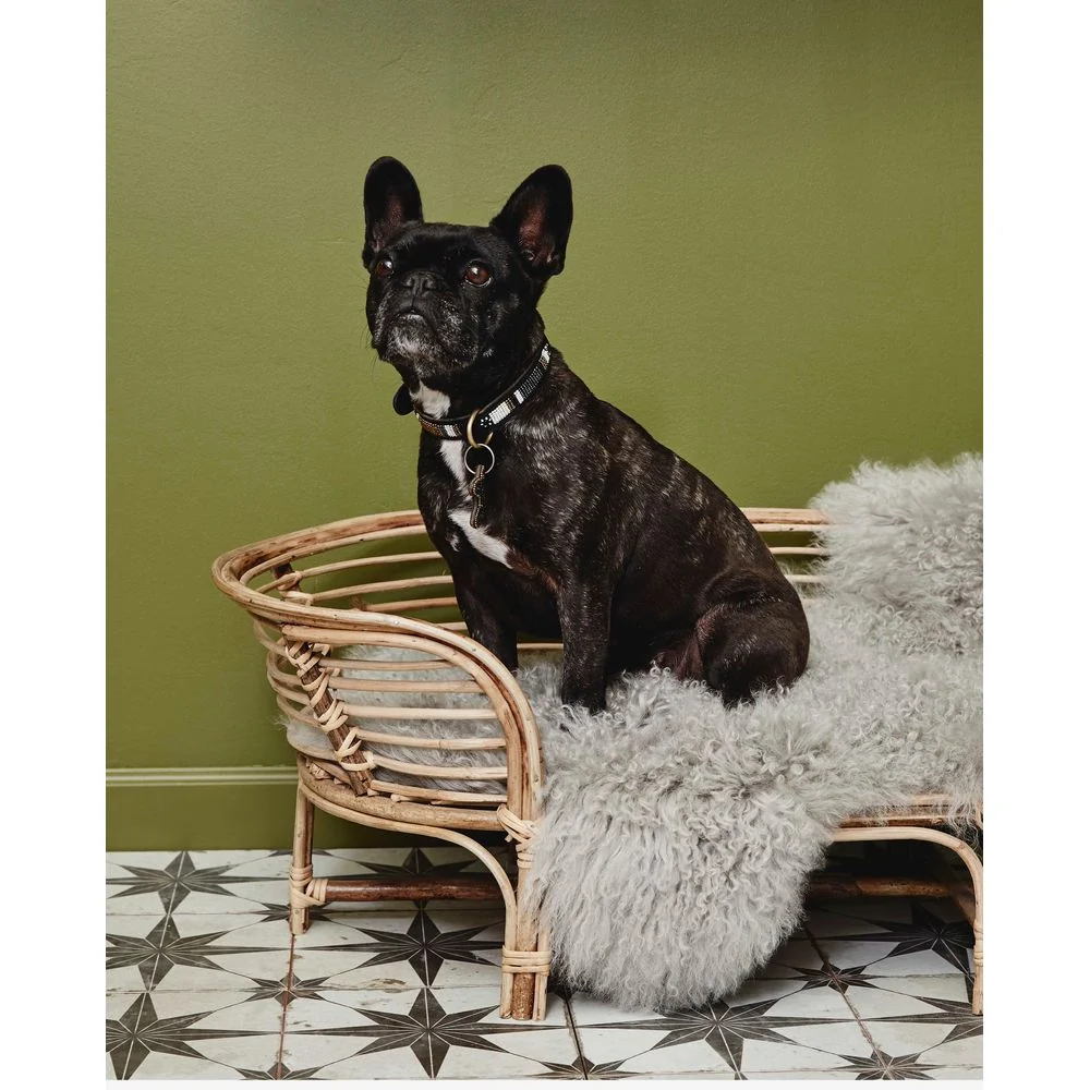Nordal /S IRIRI Hunde bett, Rattan/weven, natürlich