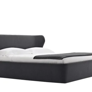 Papilio Bett