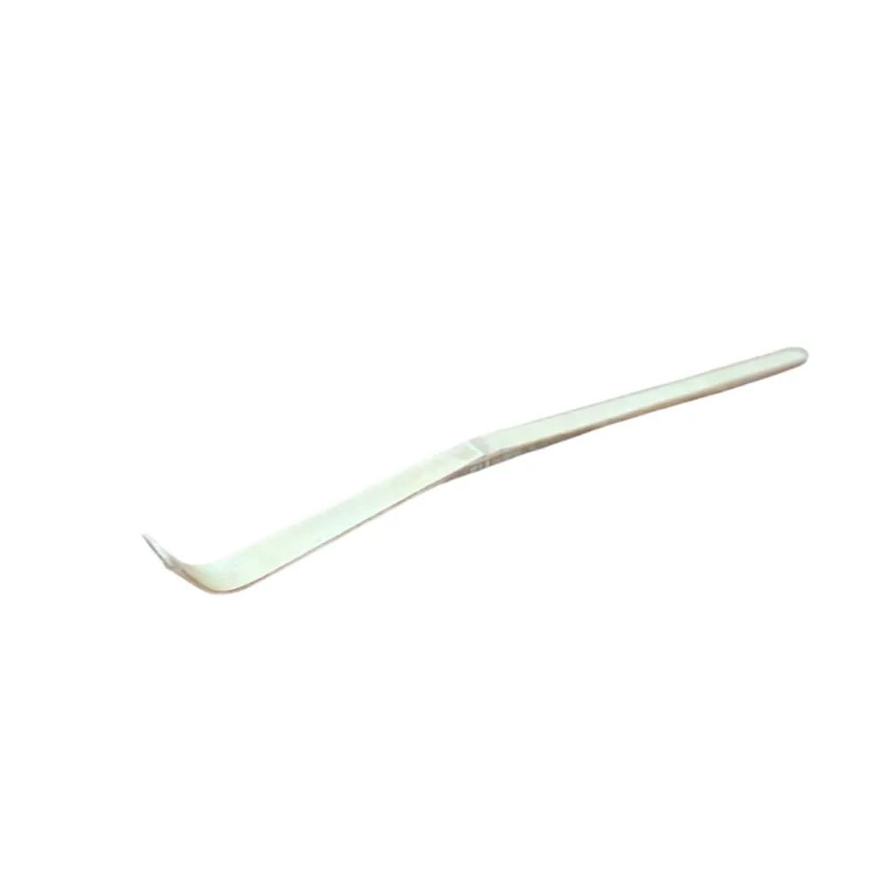 Chashaku (Löffel für Matcha) # 16816