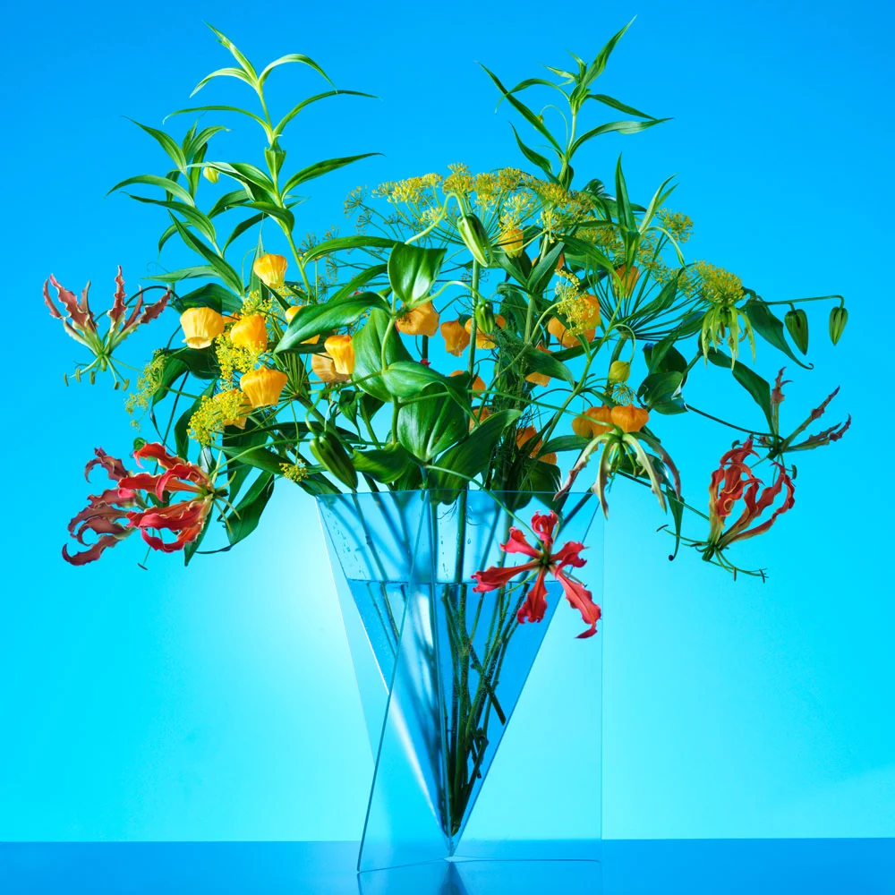 DELTA | Klassische VASE | 1981 | Mart van Schijndel