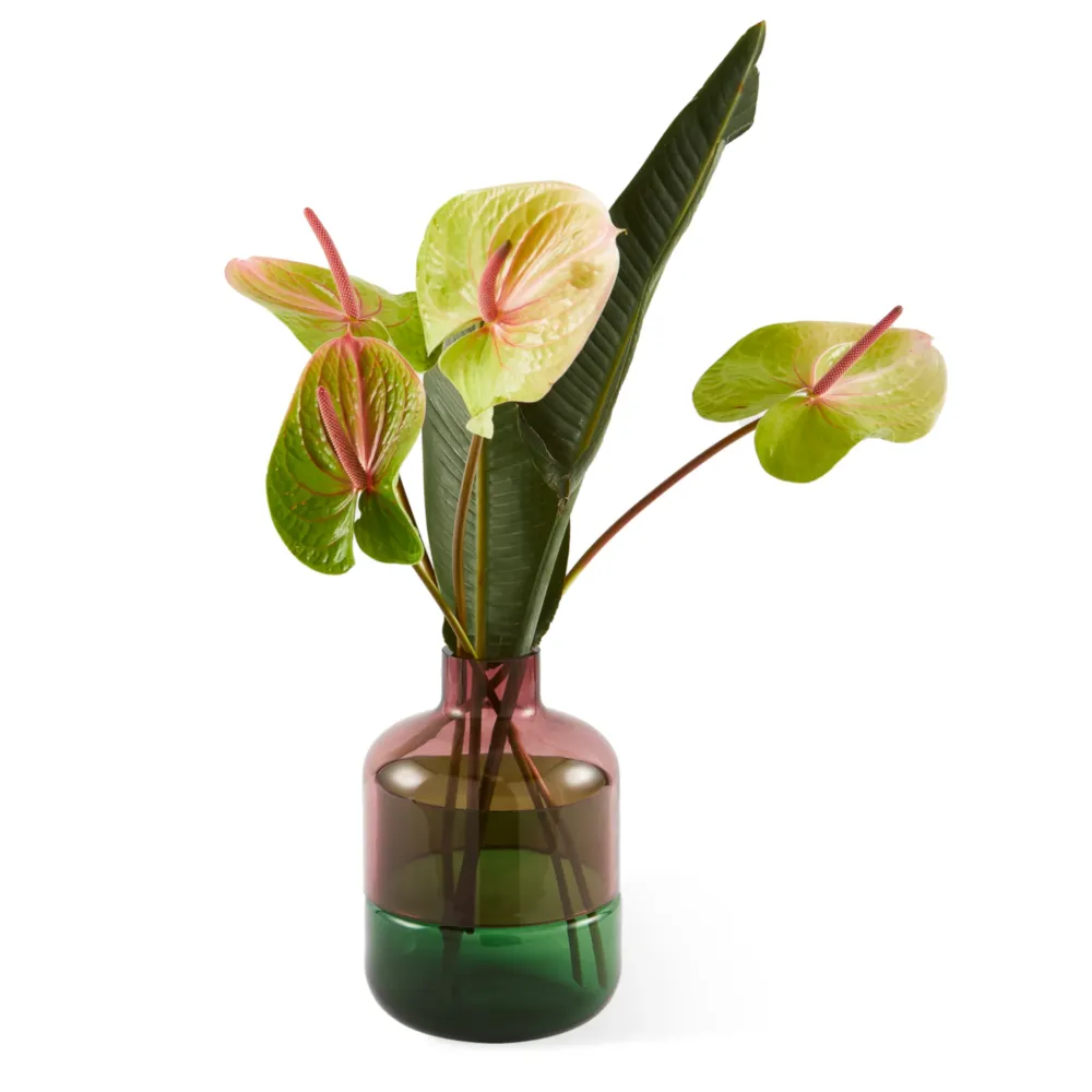 Formy Vase S Rosa und Grün