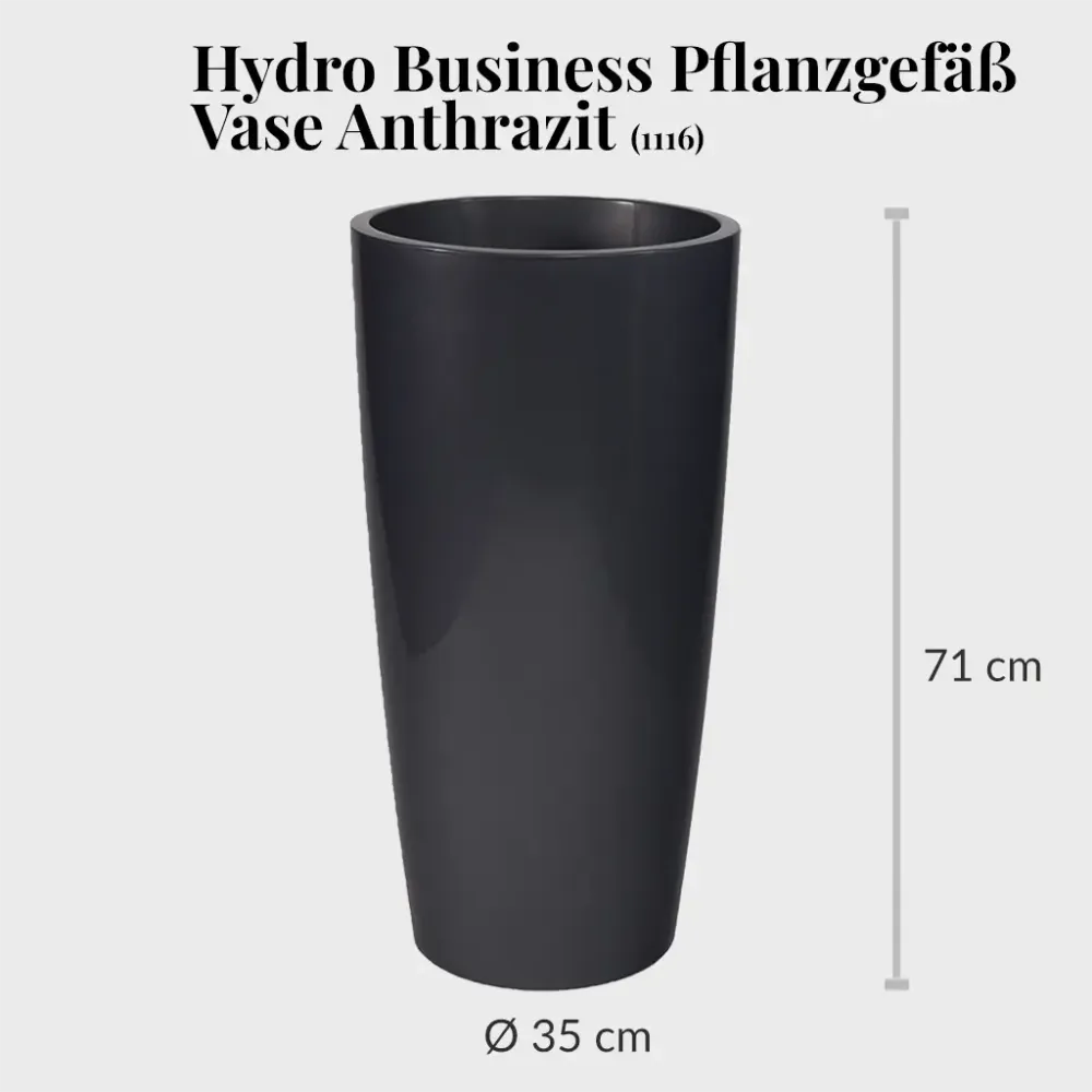 HYDRO SET XL Büropflanze Kentia Palme mit Vase Classico