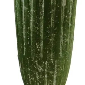 Keramik-Vase moosgrün