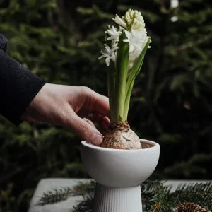 Storefactory Leryd - Vase