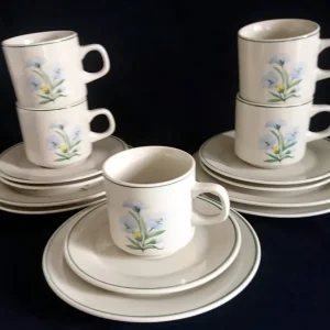 15 Teiliges KAFFEESERVICE - Keramik / Steingut, Blumenblüten Pflanzen Flora Randlinie Motiv Dekor