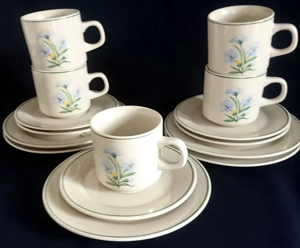 15 Teiliges KAFFEESERVICE - Keramik / Steingut, Blumenblüten Pflanzen Flora Randlinie Motiv Dekor