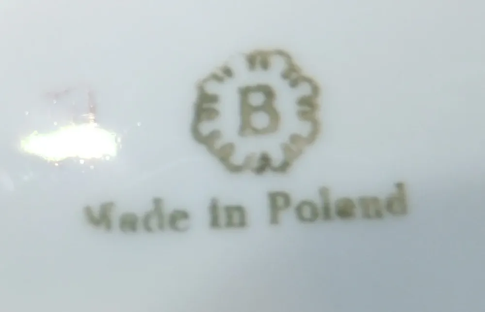 17 Teiliges Mocca Kaffeeservice - Porzellan, Goldrand Vergiss mein Nicht Blumenblüten Flora Pflanzen Gewölbter Relief Moti...