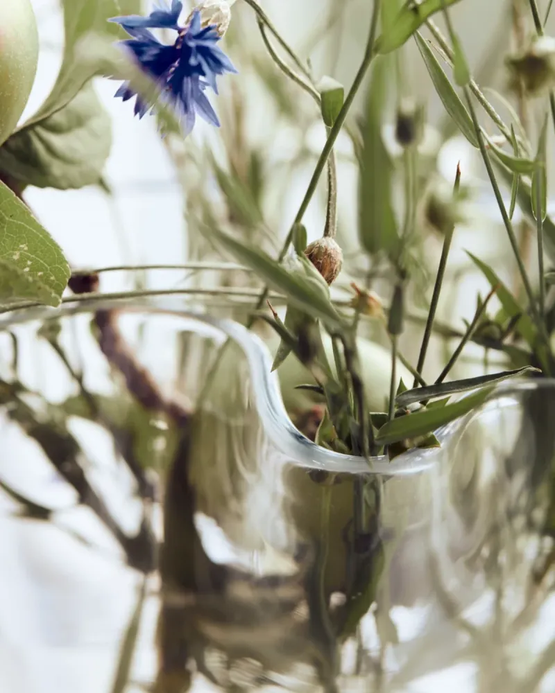 Vase, HDPlis, Klar