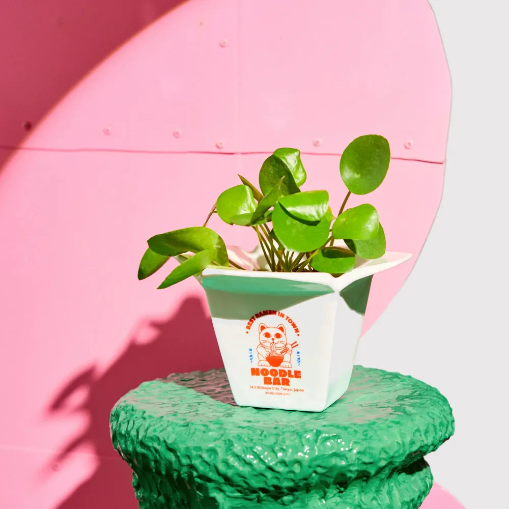 Vase 'Ramen'
