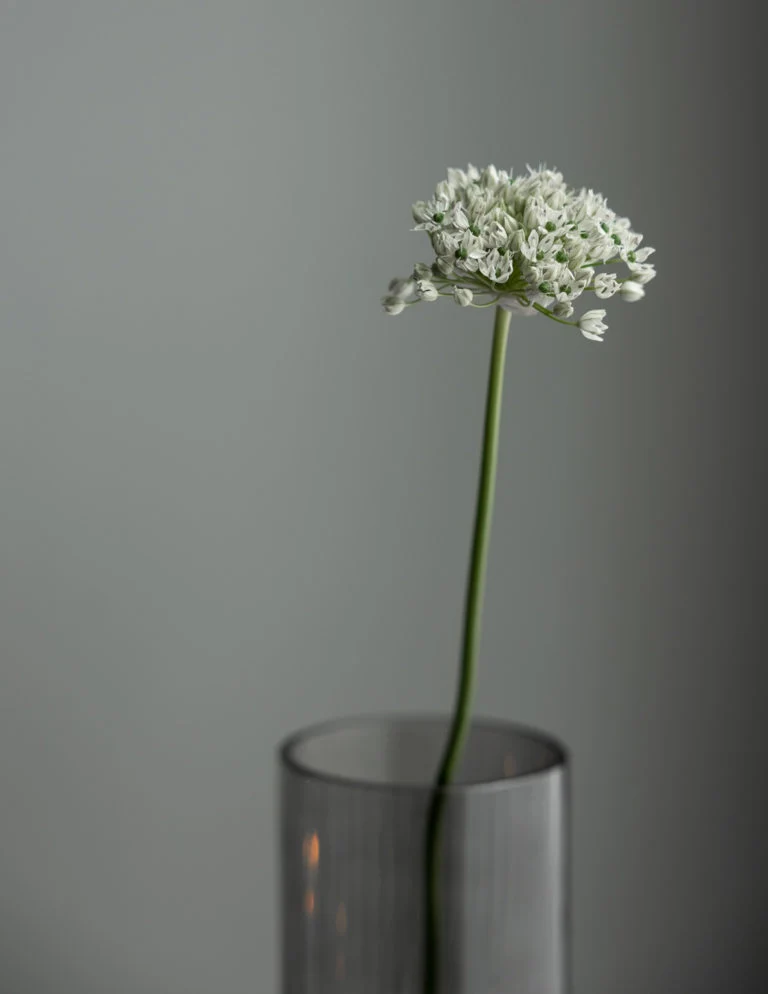 Windlicht Vase Ramsjö smoke Rauchglas 35 cm Storefactory