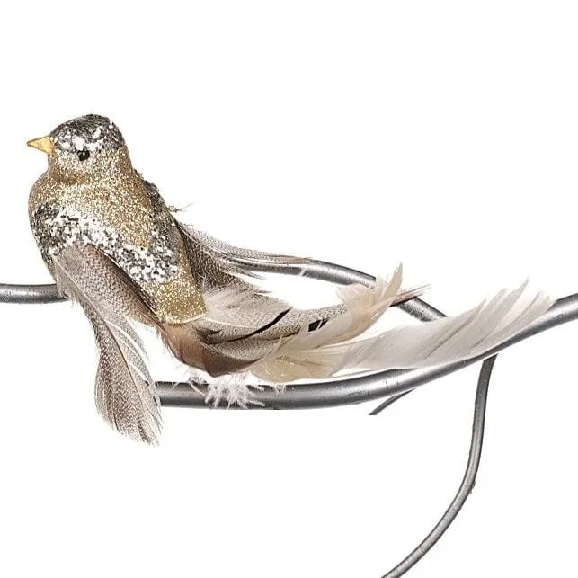 Eleganter Vogel auf Clip nach links schauend