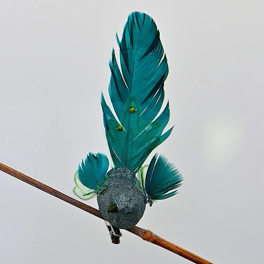 Exotischer Vogel auf Clip, nach rechts schauend