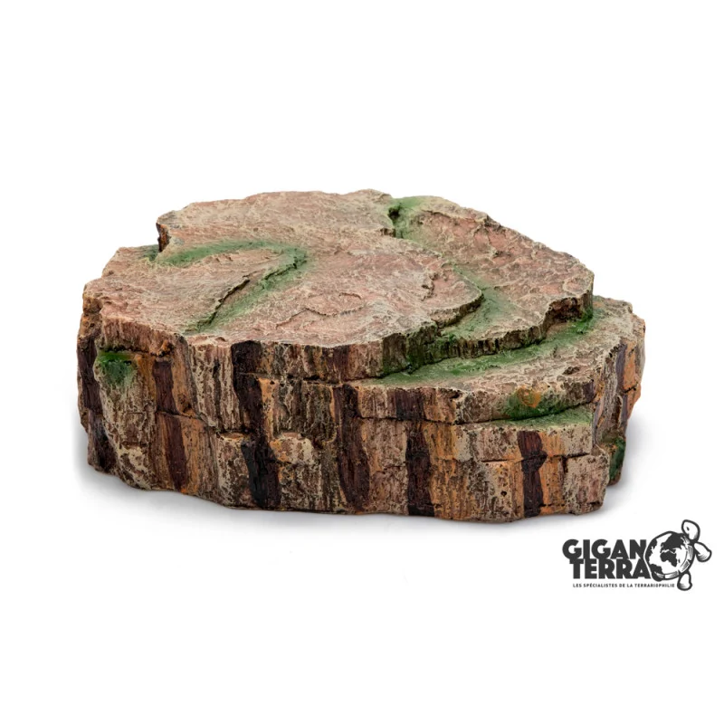 Giganterra - Grot Forest L