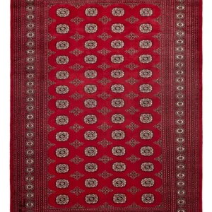 Afghan Teppich - Buchara - 290 x 200 cm - rot
