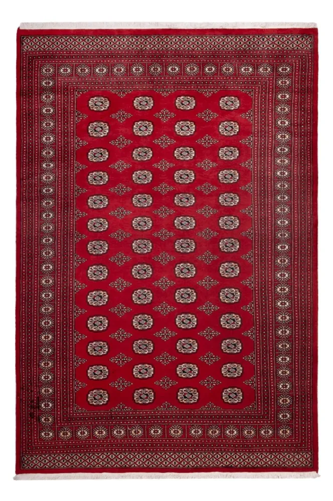 Afghan Teppich - Buchara - 290 x 200 cm - rot