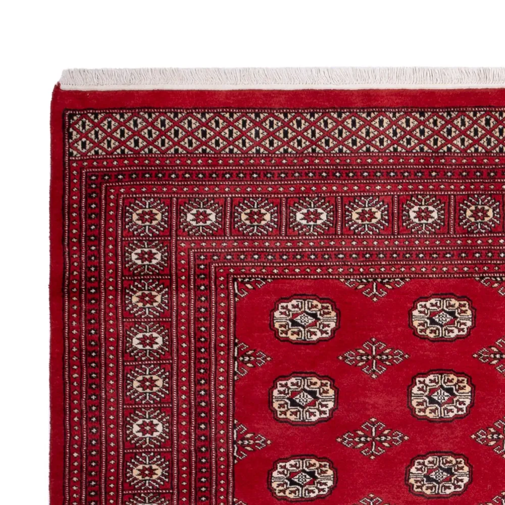 Afghan Teppich - Buchara - 290 x 200 cm - rot